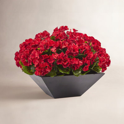 UV Resistant Geranium Floral Arrangement