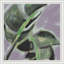 Taken Root 1 Print-823553417