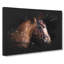 Horse Portrait - Wrapped Canvas-56640295