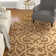 Amelia Abstract Indoor Rug