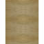 Area Rug in Wheat-204310101