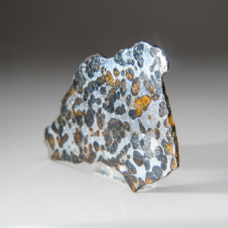 Genuine Brenhama Pallasite Meteorite Slice (0.19 Lbs)