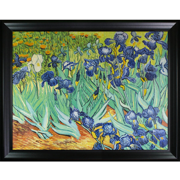 Overstock Art Irises Framed On Canvas by Vincent Van Gogh Painting ...