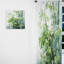 Vitelli - Rideau en bambou - Rideau floral obscurcissant - 1 panneau-1506565585
