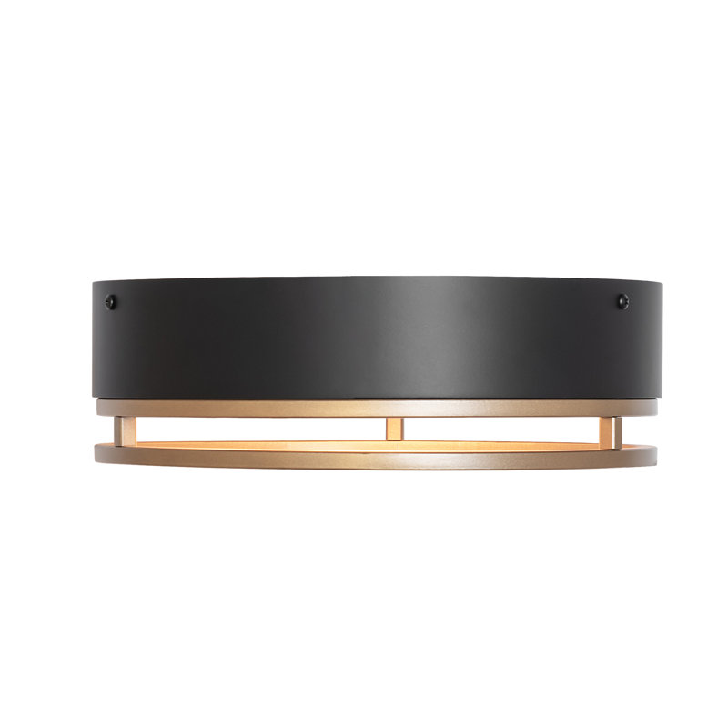 1 - Light Flush Mount