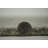 Payne Hand Tufted Wool Indoor Rug