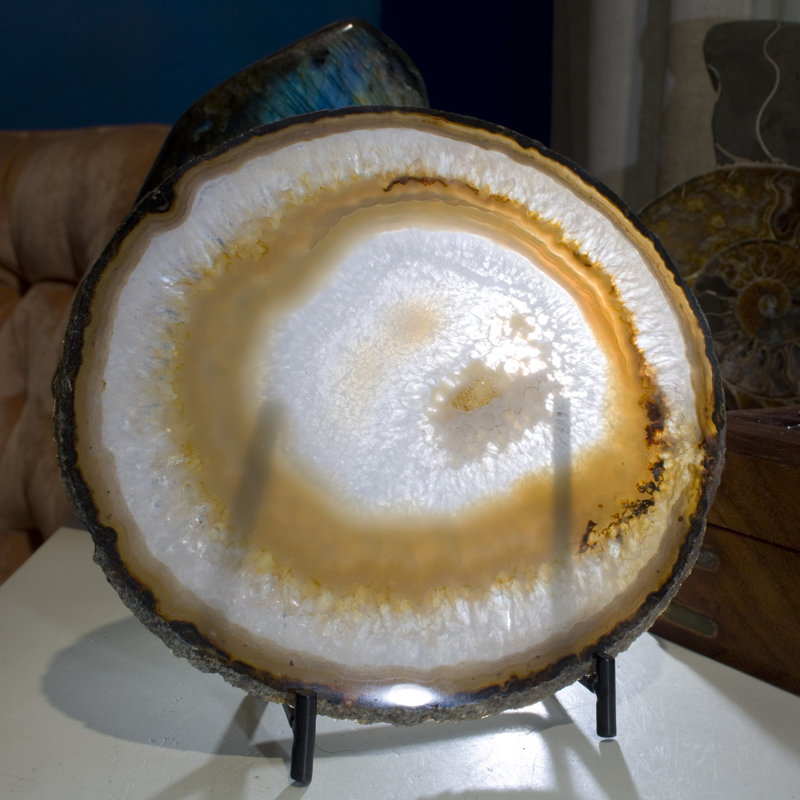 Picturesque Polished Thin Agate Plate