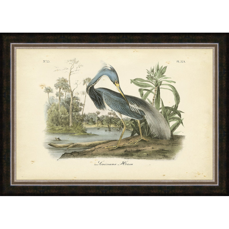 Audubon - reproduction de cadre photo