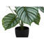 Plante artificielle
