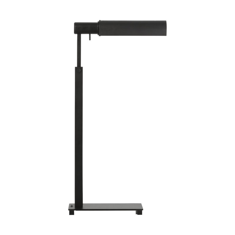 Leonard 43.5'' Aged Iron Task Floor Lamp