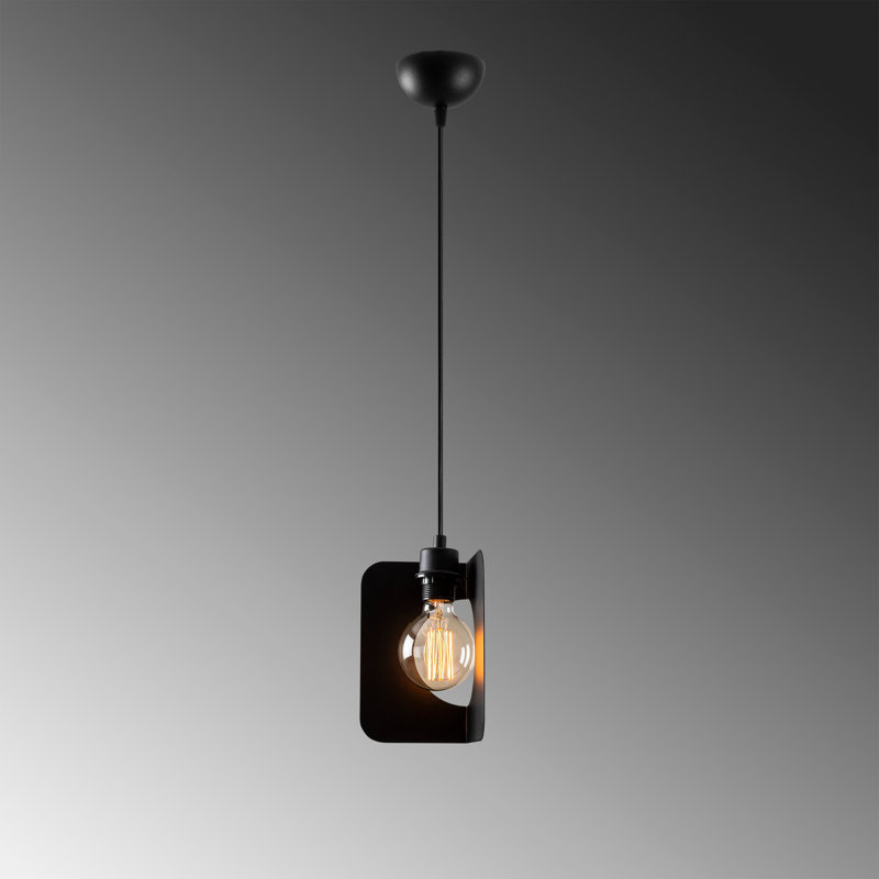 Luminaire suspendu rectangulaire unique à 1 lumière Ranney