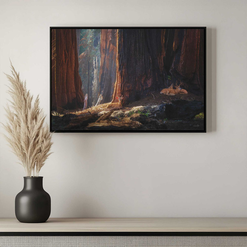 «Deer at the séquoias I» par Martin Podt, reproduction d'art, 48 W x 32 H, Gold, Framed Canvas
