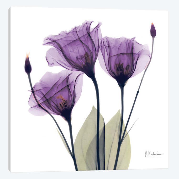 «Gentian Hope», impression sur toile, H 12 po x l 12 po x P 1,5 po, Pas de tapis, Toile avec cadre doré