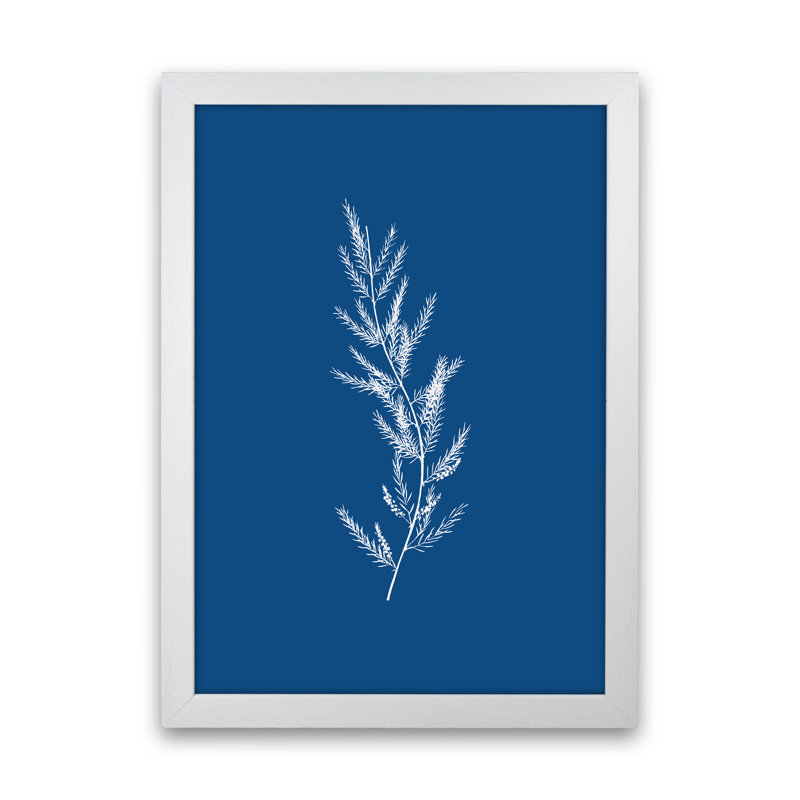 Blue Botanical II - No Frame Print, 63cm H x 46cm W x 3cm D, White Framed
