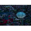 9'' Solar Powered Integrated LED Globe Lantern