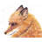 Fox Animals Illustrative Duvet Cover - Home Decor Accent