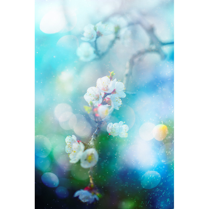 Spring Blossom by Mammuth - Wrapped Canvas Print, 122cm H x 81cm W x 3.8cm D