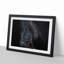 Enchanting Black Stallion Horse - Picture Frame Painting Print on MDF-55539745-55539742
