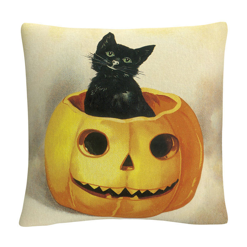 Coussin Cat