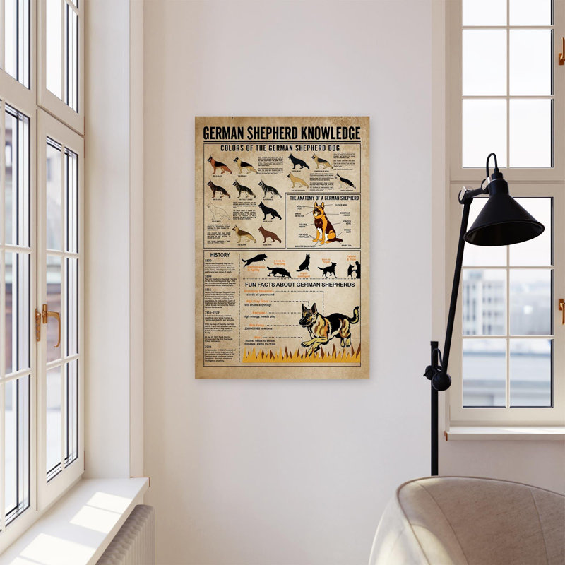 Impression sur toile tendue, "Berger allemand", H 36 po x l 24 po x P 1,25 po