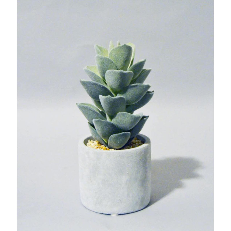 POT À SUCCULENTES PU, 9''