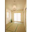 47cm H Raffia Drum Pendant Shade ( Spider ) in Beige