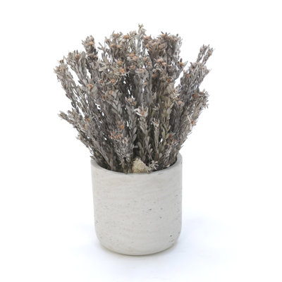 17'' Faux Herbs Grass in Stone Pot