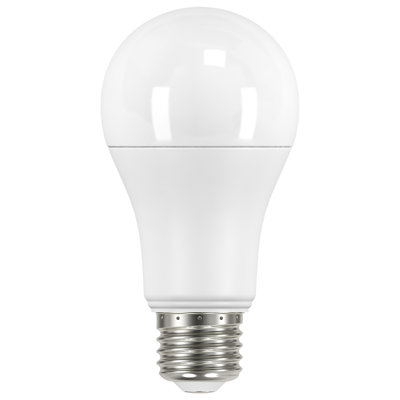 13 Watt LED Bulb