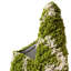 Tapis vert à poils longs treillis Rugs.com Ruth-835514958