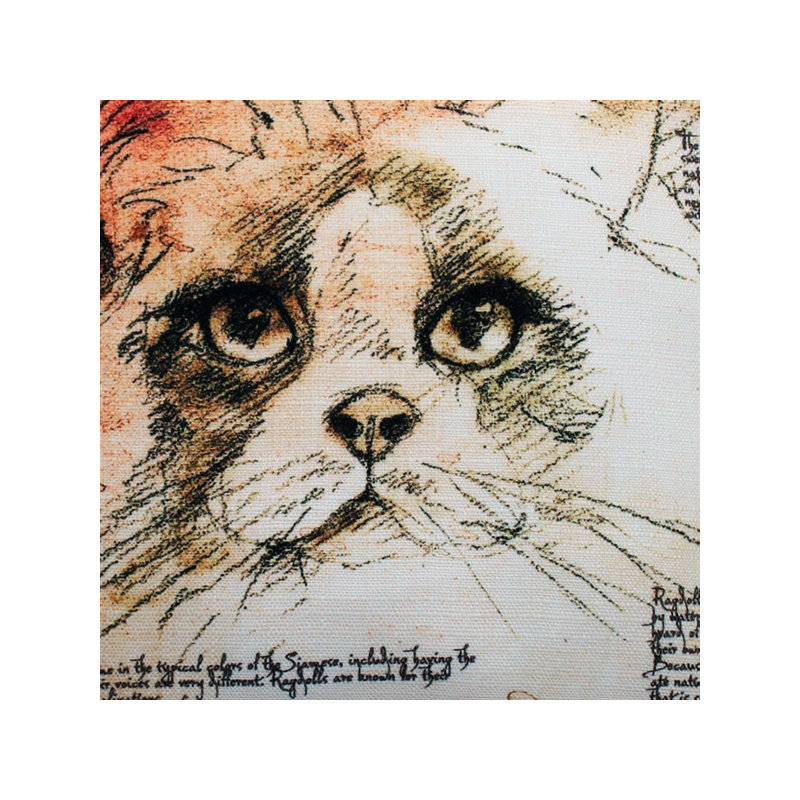  Coussin intérieur / extérieur pour chat Ragdoll