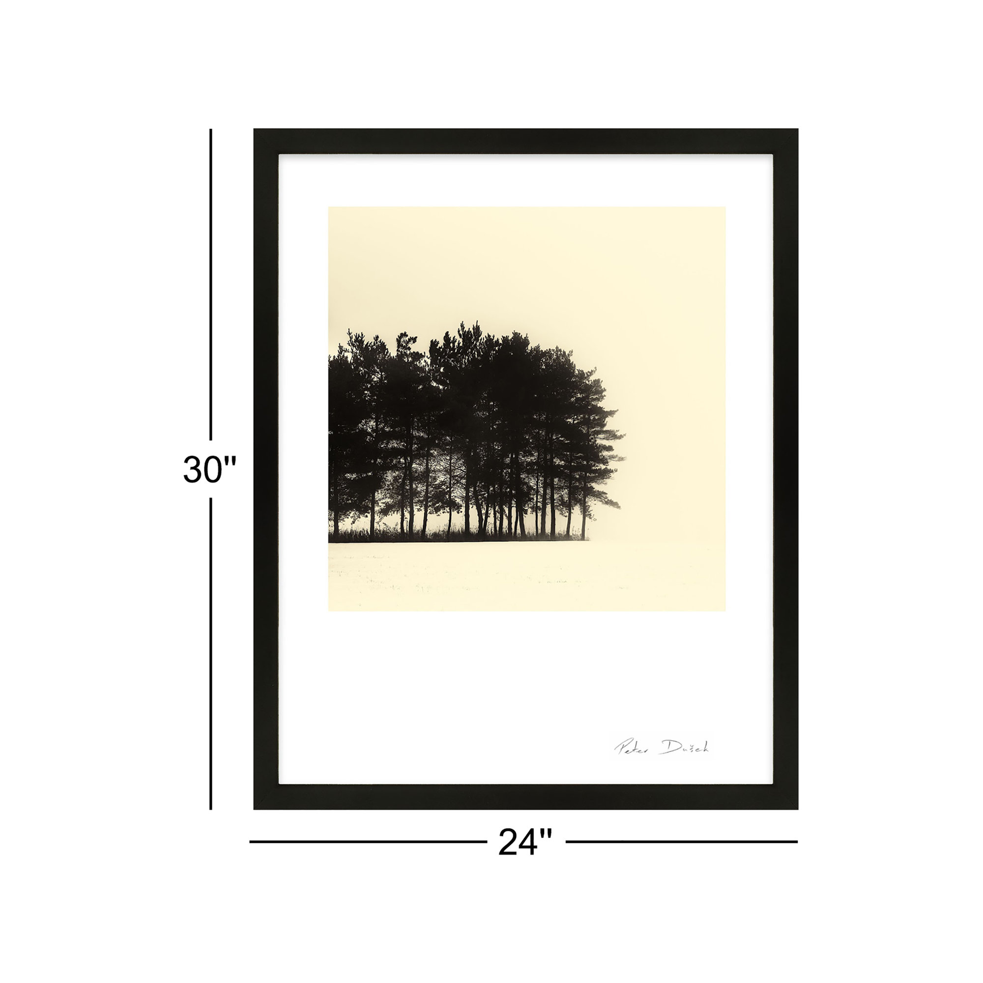 Copse by Peter Dušek, Black, 30" H x 24" W x 1.25" D