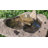 Mini Two Stack Rock Bowl