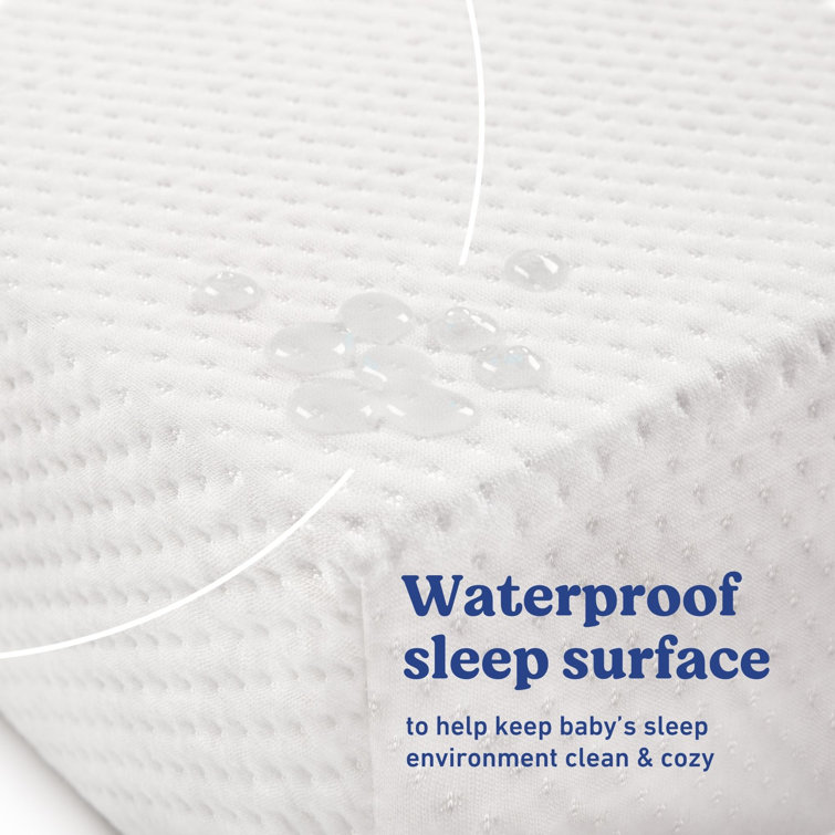 Graco Premium Foam Standard Crib and Toddler Bed Mattress