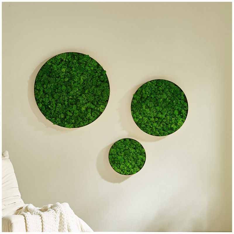 Décoration murale ronde en mousse encadrée, seulement le médium 18,1 * 18,1 * 2 po