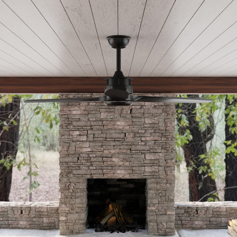 Ceiling Fan