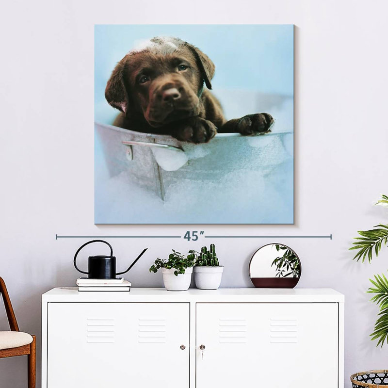 Brampt Beau le chien, H 33 po x l 33 po