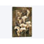 « golden calla lilies », impression sur toile-29039386-72782067-72782073