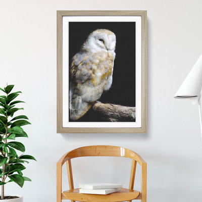 Barn Owl Vol.3 - Picture Frame Painting