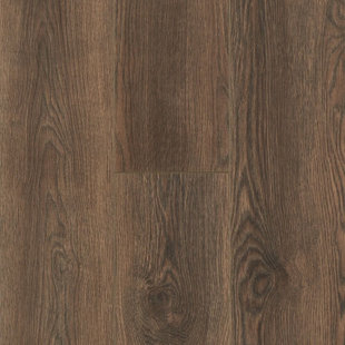 Parquet stratifié 8,03 po x 47,6 po x 8 mm Nature's Vision