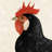 Beautilful hen - 32"x32" art on canvas