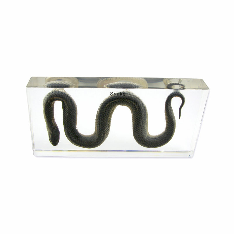 Procopio Animals Figurines & Sculptures