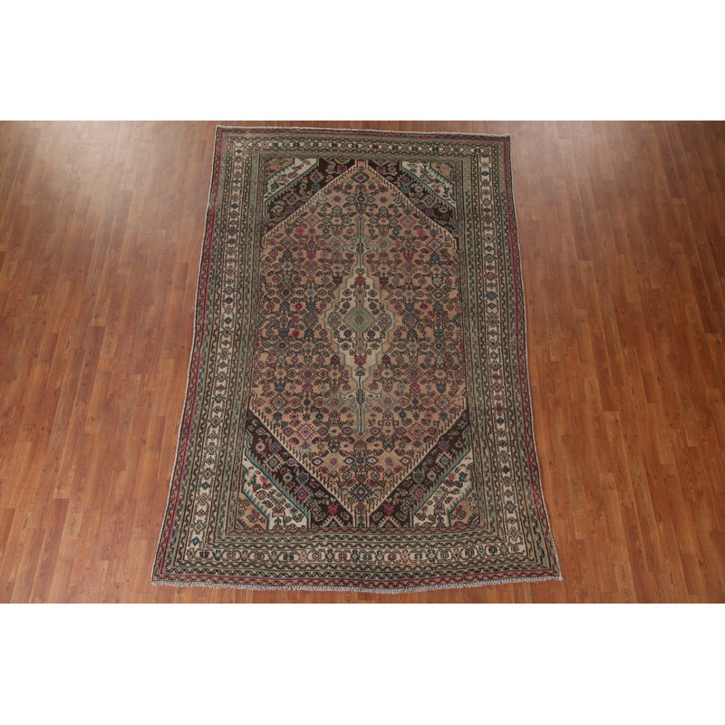 Distressed  Traditional Area Rug 6x10