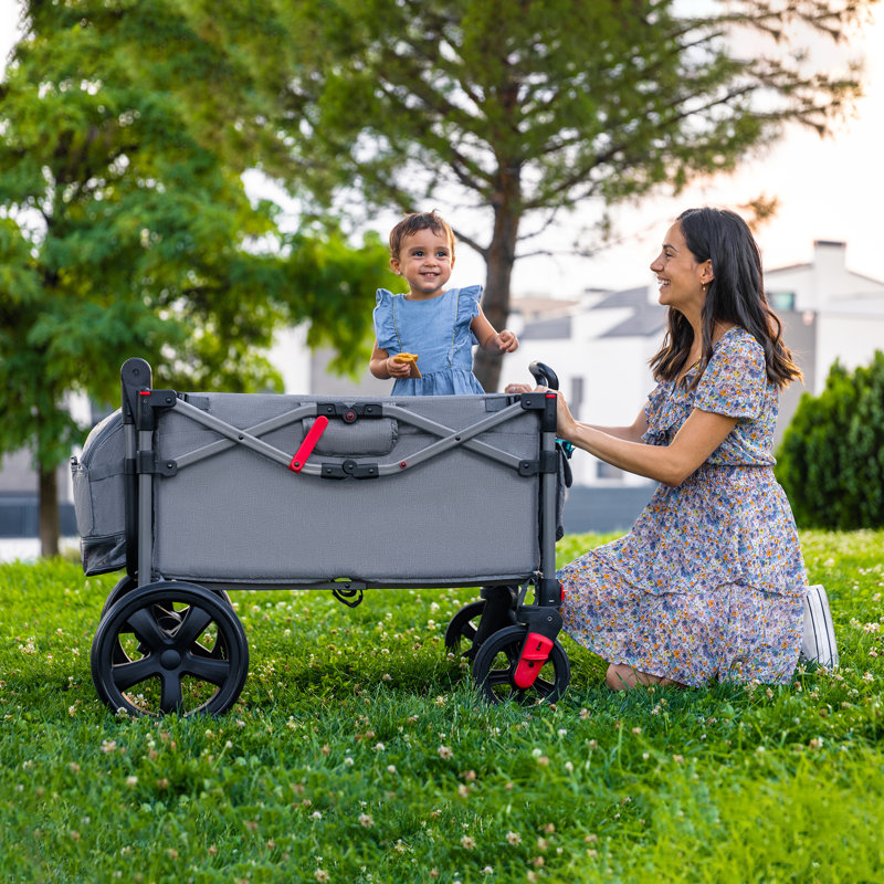Wagons pliables pour deux enfants EVER Advanced avec poignée réglable et pavillon amovible, Gris