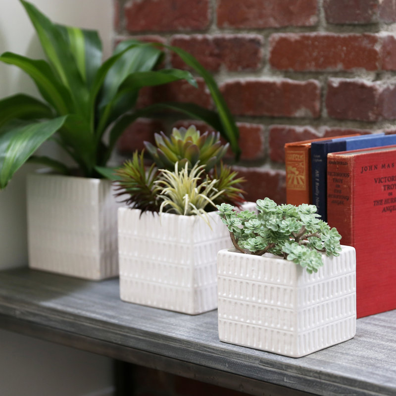 Reale Ceramic Pot Planter, White
