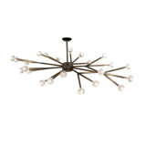 24 - Light Chandelier