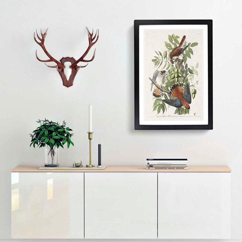 American Sparrow Hawks by John Audubon - Framed Print, 33cm H x 24cm W x 2cm D, Black Framed