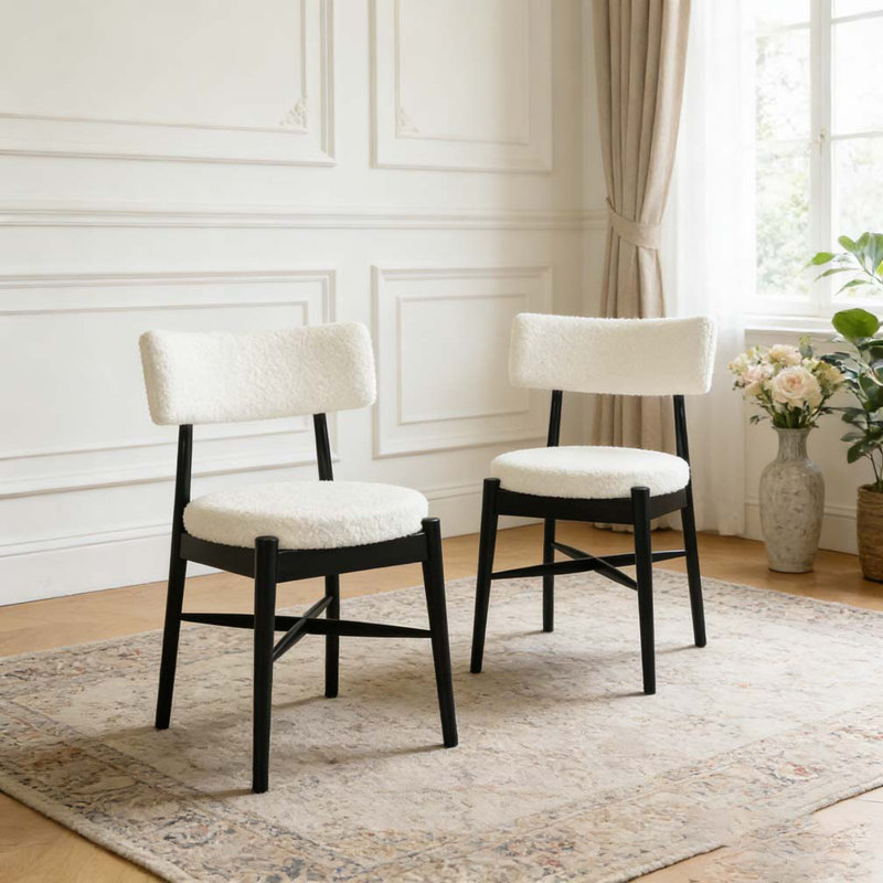 Modern Dining Chairs