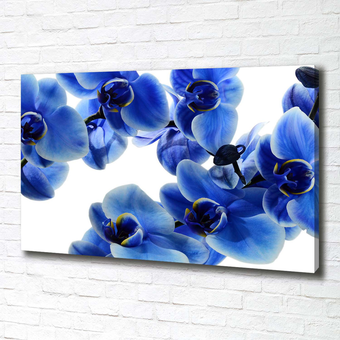 Leinwanddruck - Wandkunst - Drucke auf Leinwand - 100X70 Bildmotiv: Blaue Orchidee