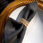 Braid Napkin Jewels-1157949747