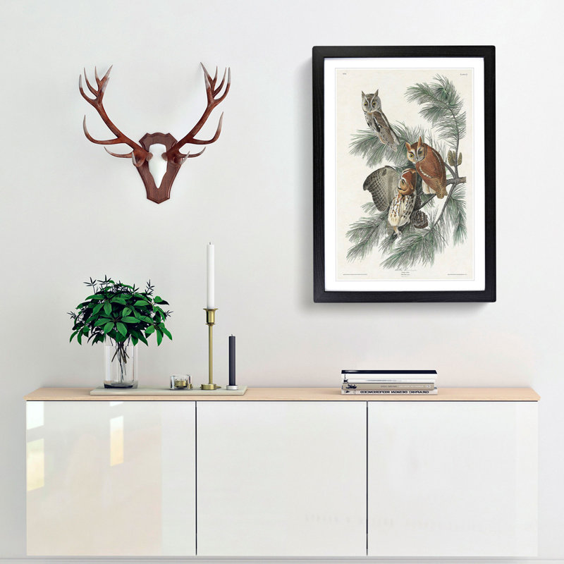 Little Screech Owls by John Audubon - Picture Frame Painting Print, Black Framed, 36cm H x 27cm W x 2cm D